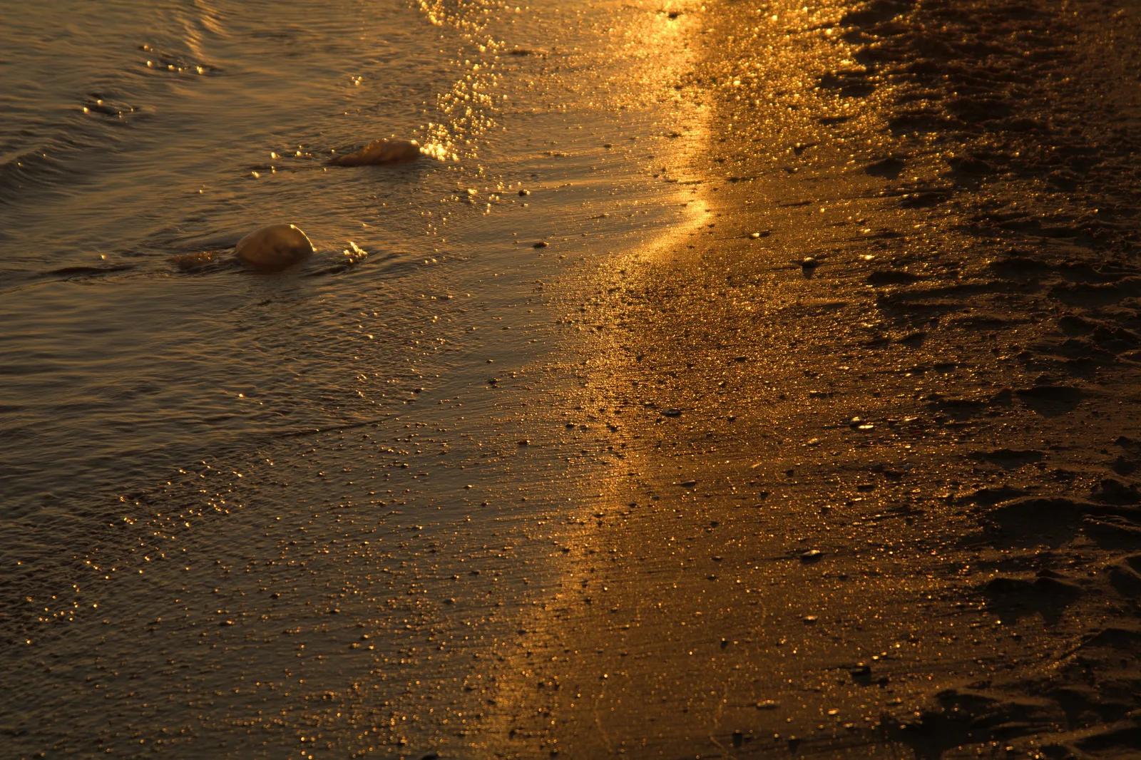 ADS_5193 - 1.jpeg